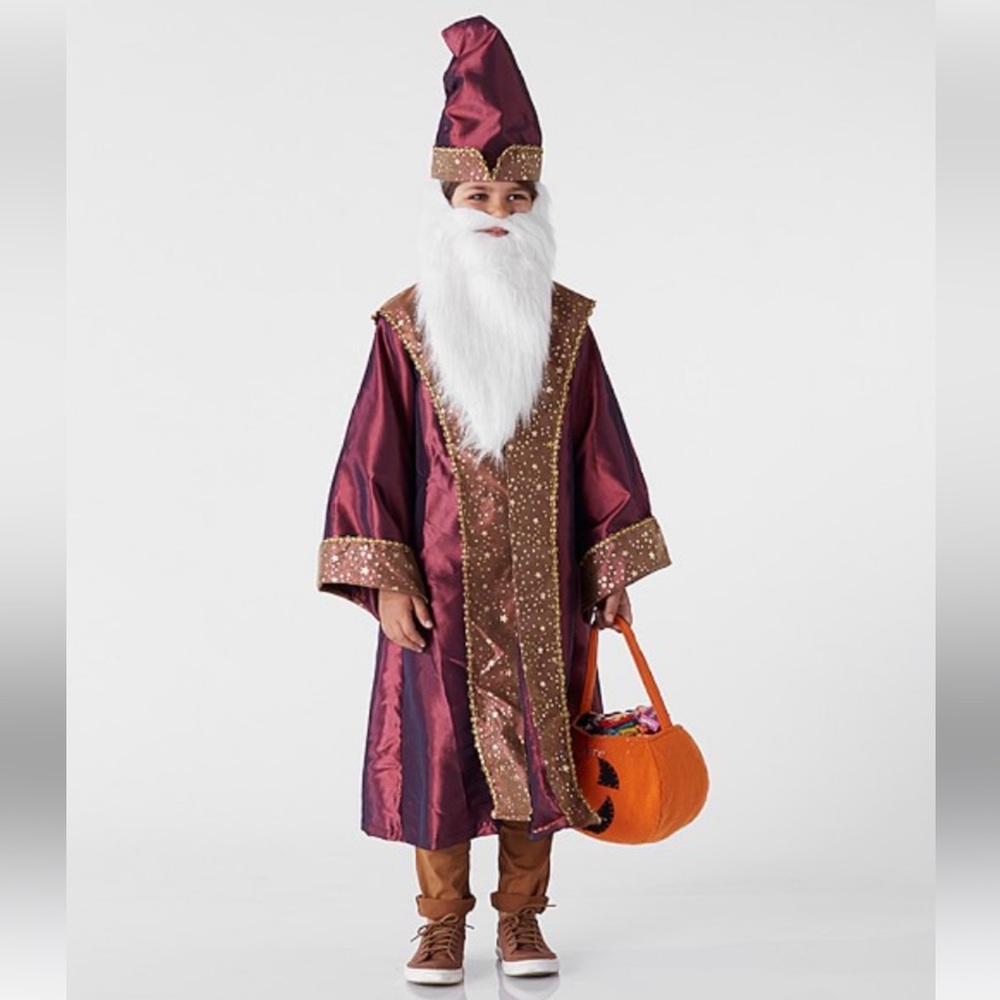 Pottery barn kids Harry Potter dumbledore costume size 4 nwot